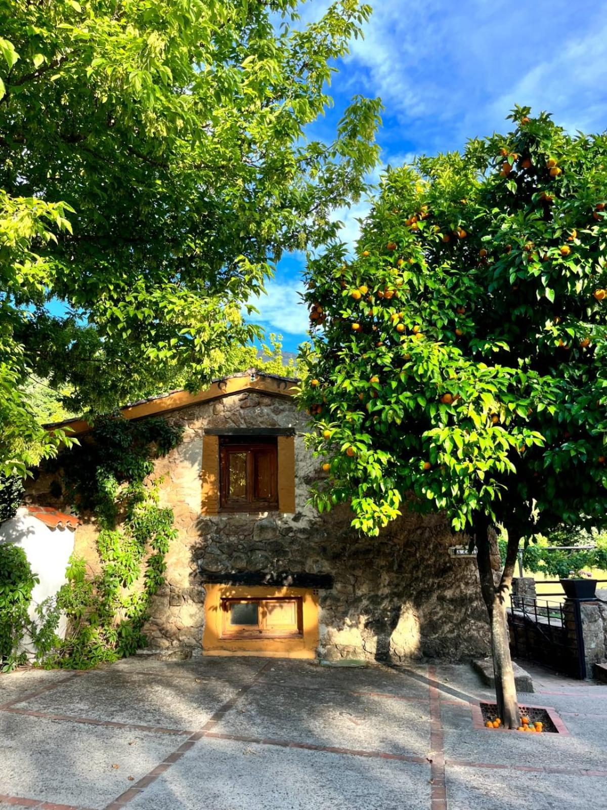 La Caseria Navaconcejo Exterior foto